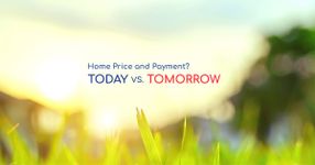 Price Today vs Price Tomorrow